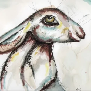 LEVEL 2 Certificate in Art and Design