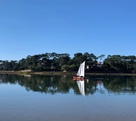 IMG_6068-4c9d6c14-1920w