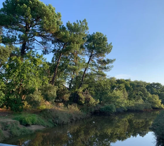 IMG_7870-e3e14b63-1920w