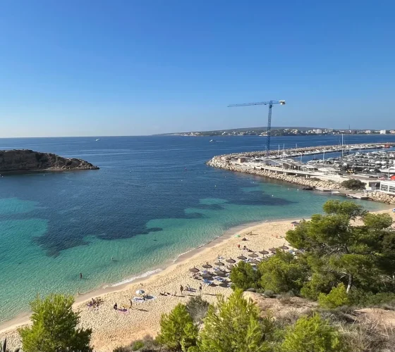 MicrosoftTeams-image+(44)+copy+16-1920w